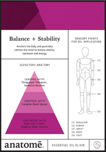 Load image into Gallery viewer, Essential Oil - Balance + Stability - Essential Oil Blend